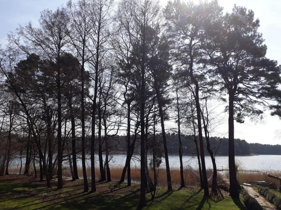 Haus Wilma Gruene Idylle Im Wald Direkt Am See 벤디쉬 리츠 외부 사진