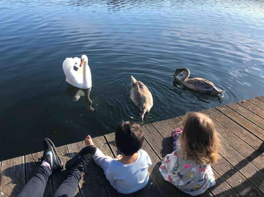 Haus Wilma Gruene Idylle Im Wald Direkt Am See 벤디쉬 리츠 외부 사진