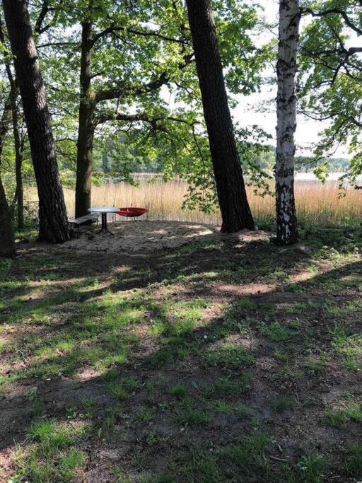 Haus Wilma Gruene Idylle Im Wald Direkt Am See 벤디쉬 리츠 외부 사진